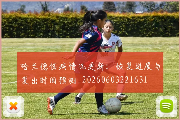 哈兰德伤病情况更新:恢复进展与复出时间预测_20260603221631