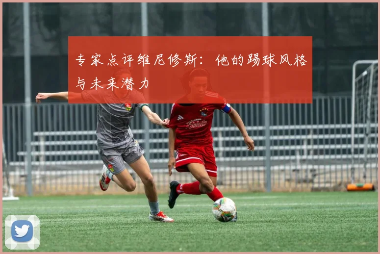 专家点评维尼修斯：他的踢球风格与未来潜力