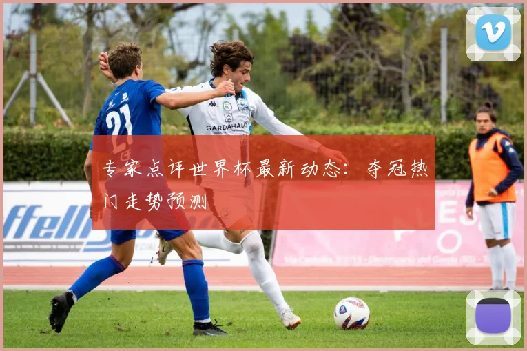 专家点评世界杯最新动态:夺冠热门走势预测